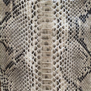 Genuine Snake Leather Hide Exotic leather for Craft Projects