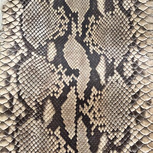 Genuine Snake Leather Hide for Luxury Craft Projects, Exotic skin