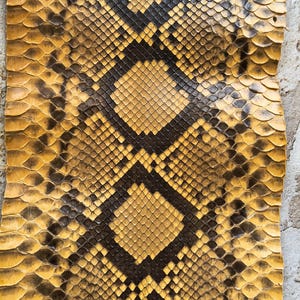 Echtes gelb-schwarzes Schlangenleder, exotisches Reptilienleder für Bastelarbeiten