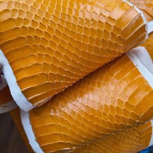 Genuine Snake Leather Hide Exotic leather for Craft Projects Yellow Snakeskin