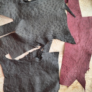 May include: Several irregular pieces of ostrich leather in black and deep burgundy. The material features the characteristic quill follicle pattern with raised bumps across the surface, showing a textured, organic grain throughout the hide.