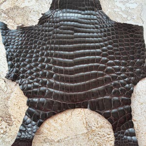 Brown Exotic Leather, Reptile Skin for Leathercraft, Lizard leather