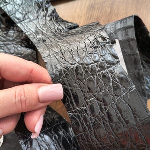 Black Exotic Leather Strips, Reptile Skin for Leathercraft, Lizard leather