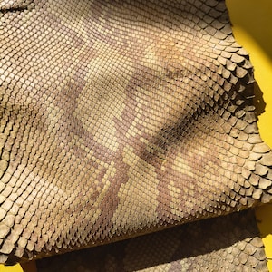 May include: A piece of textured snakeskin leather featuring a repeating diamond pattern in shades of tan, beige, and muted brown. The material has a distinct overlapping scale texture with a natural organic appearance and a flexible, folded structure.