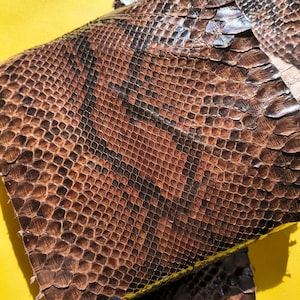 Genuine Snake Leather Hide for Craft Projects, Exotic reptile skin for DIY  Snakeskin