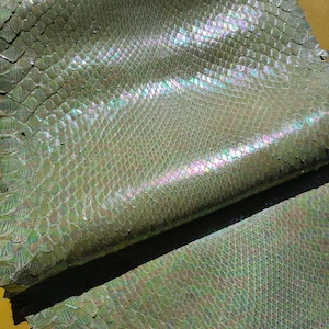 Puede incluir: Una lámina de piel de serpiente de color verde claro con un acabado iridiscente distintivo que refleja sutiles tonos arcoíris sobre el patrón texturizado de escamas superpuestas. El material es flexible y muestra un diseño geométrico.