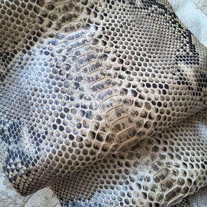 Könnte beinhalten: Ein Stück natürliches Schlangenleder mit einem sich wiederholenden Schuppenmuster in Beige-, Braun-, Grau- und Schwarztönen. Die Textur besteht aus überlappenden, rautenförmigen Schuppen, die eine ausgeprägte organische visuelle Tiefe erzeugen.