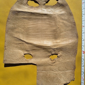Puede incluir: Una piel de lagarto de color beige con un patrón de escamas texturizado, que presenta dos recortes superiores y dos inferiores. Una cinta métrica blanca está colocada en el lado derecho, indicando una longitud de unos 46 cm de borde a borde.