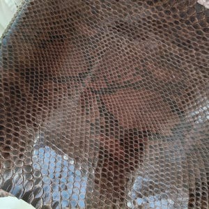 Genuine Snake Leather Hide for Craft Projects, Exotic reptile skin for DIY  Snakeskin