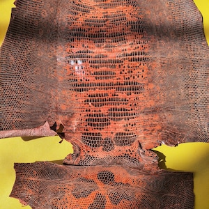 May include: A flat, tanned lizard skin hide featuring a distinct scale pattern in shades of burnt orange and deep black. The hide displays a symmetrical arrangement of small, textured scales across the surface, with darker patches creating a mottled effect.
