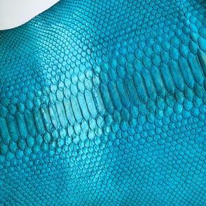 Genuine Turquoise Snake Leather Hide for Luxury Craft Projects
