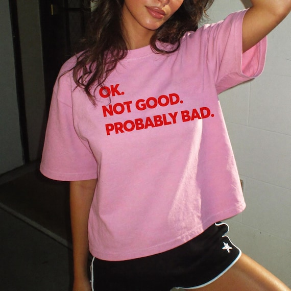 Ok Not Good Probably Bad Shirt, Heated Rivalry Inspired Tee, Ilya Rozanov Shane Hollander T-Shirt, Hockey Romance Booktok Graphic Merch