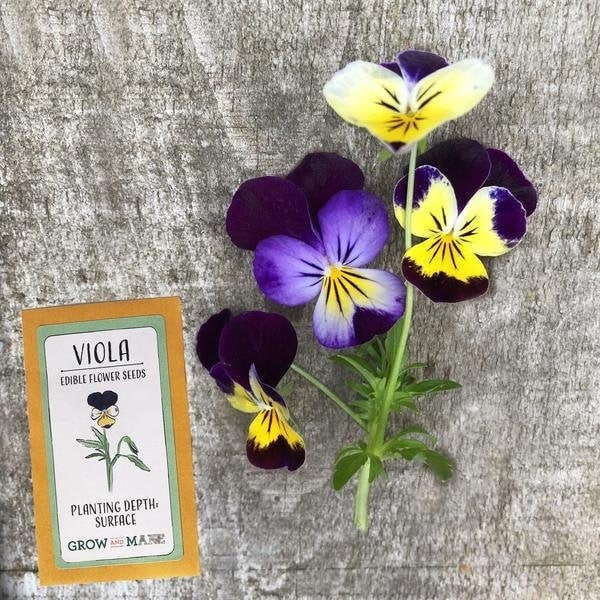 DIY Grow Your Own Edible Flowers Grow Kit Easily grow three Etsy