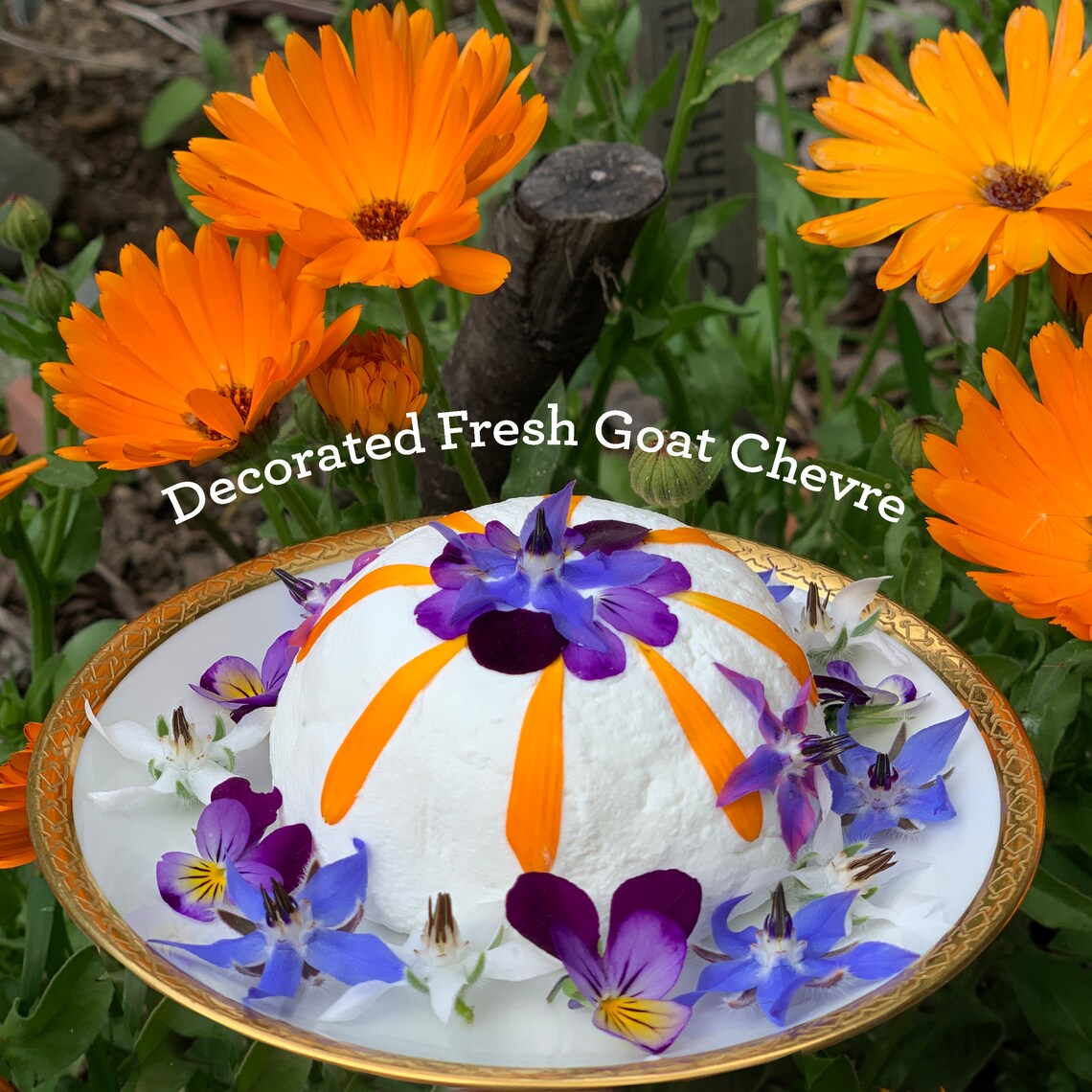 DIY Grow Your Own Edible Flowers Grow Kit Easily grow three Etsy