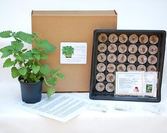 DIY Tea Herbs Garden Kit
