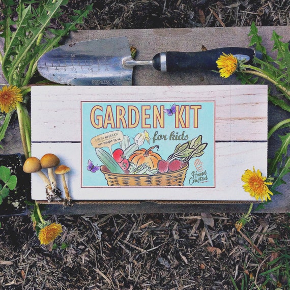Diy Garden Kit For Kids Learn How To Grow Your Own Etsy