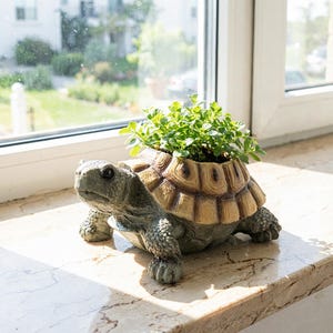 Può includere: Un vaso a forma di tartaruga con testa e zampe grigio scuro testurizzate e un guscio segmentato color marrone chiaro. Il guscio funge da contenitore per una piccola pianta dalle foglie verde brillante, creando un oggetto decorativo funzionale.