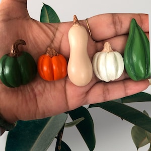 Può includere: Una collezione di cinque zucche decorative in miniatura di varie forme e colori, tra cui una zucca verde scuro, una zucca arancione, una zucca butternut beige liscia, una zucca bianca e una zucca verde a forma di goccia.
