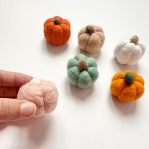 May include: Six felt pumpkins in various colors, including orange, green, white, beige, and pink. The pumpkins are all about 2 inches in diameter and have a stem on top.