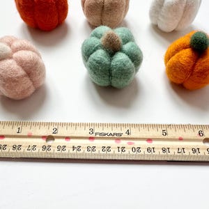 May include: Six felt pumpkins in various colors, including orange, green, white, and pink, are arranged on a white surface. A wooden ruler with inch markings is placed below the pumpkins.