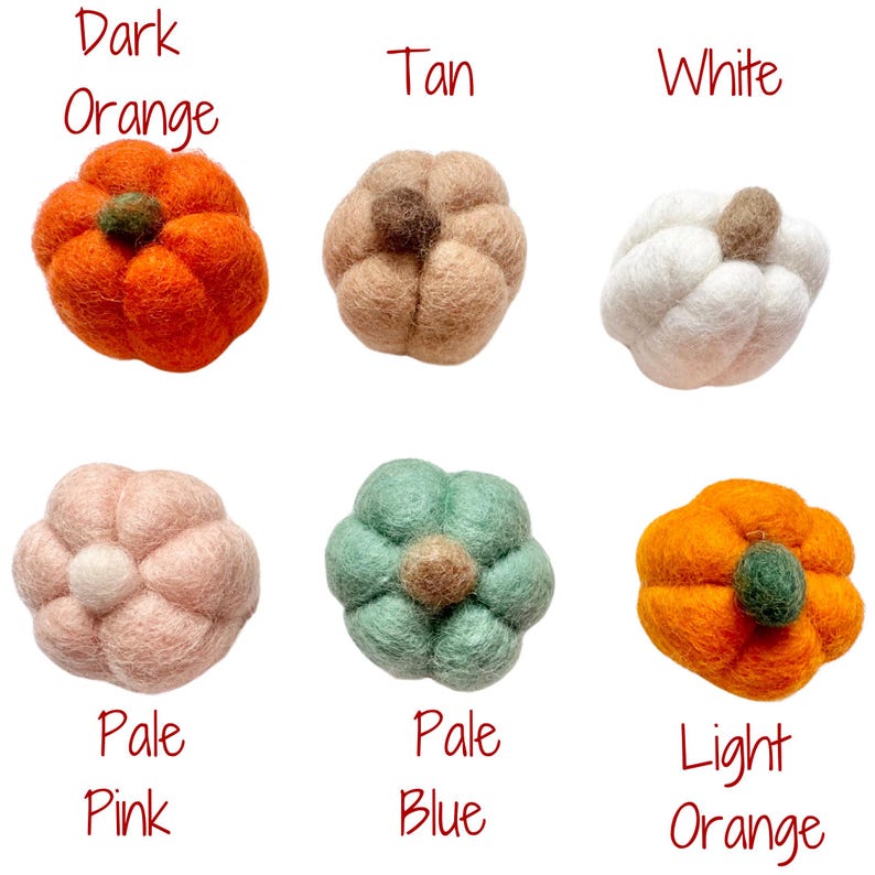 May include: Ten felt pumpkins in various colors, including dark orange, tan, white, pale pink, pale blue, and light orange. The pumpkins are arranged in two rows of five, with the colors labeled below each pumpkin.
