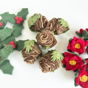 May include: A collection of felt craft embellishments including green holly leaves with red berries, brown pinecones with green accents, and red flowers with yellow centers. These small, soft decorative items are arranged in three distinct groups.
