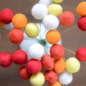 May include: A bouquet of felt balls in various shades of orange, red, and white. The balls are arranged in a cluster and are attached to thin stems.