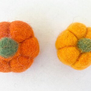 Felt Pumpkin and/or Turkey Toys Needle Felted Fall Toy Sold Individually Thanksgiving Montessori Play Cat Nip Playtime Catnip Kicker image 7