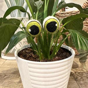 May include: A white pot with a green plant and two large felt eyes attached to the stems. The pot has a ribbed texture.