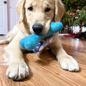 May include: A golden retriever puppy with a blue and white patterned bandana is holding a blue plush bone toy in its mouth. The dog is sitting on a wooden floor.