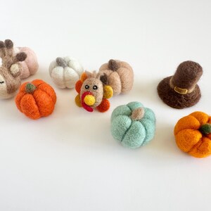 May include: A collection of felt crafts for Thanksgiving, including a sleeping deer, a turkey, a pilgrim hat, and pumpkins in various colors.