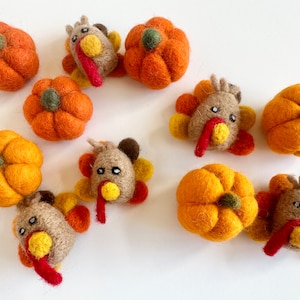 Felt Pumpkin and/or Turkey Toys Needle Felted Fall Toy Sold Individually Thanksgiving Montessori Play Cat Nip Playtime Catnip Kicker image 1