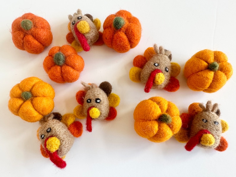 Felt Pumpkin and/or Turkey Toys Needle Felted Fall Toy Sold Individually Thanksgiving Montessori Play Cat Nip Playtime Catnip Kicker image 1