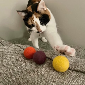 May include: A calico cat plays with three felt balls. The balls are orange, purple, and yellow.