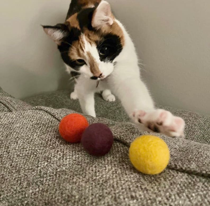May include: A calico cat plays with three felt balls. The balls are orange, purple, and yellow.
