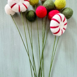May include: A bouquet of felt ornaments in red, green, and white. The ornaments are shaped like candy canes and balls, and are attached to green stems.