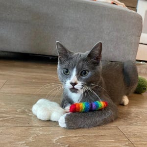 May include: A grey and white cat with green eyes is playing with a rainbow-coloured felt toy. The cat is lying on a wooden floor.