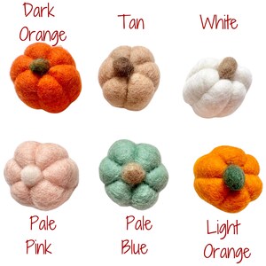 May include: Ten felt pumpkins in various colors, including dark orange, tan, white, pale pink, pale blue, and light orange. The pumpkins are arranged in two rows of five, with the colors labeled below each pumpkin.