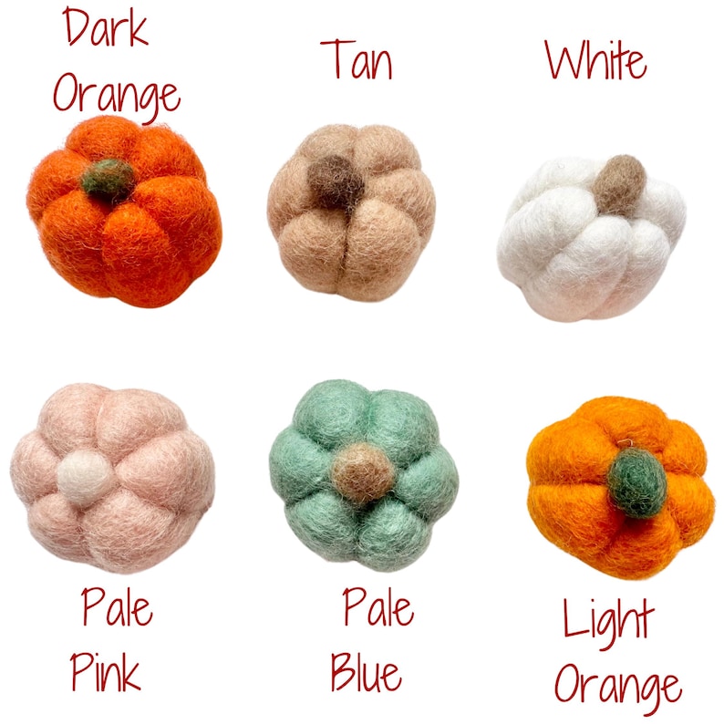 May include: Ten felt pumpkins in various colors, including dark orange, tan, white, pale pink, pale blue, and light orange. The pumpkins are arranged in two rows of five, with the colors labeled below each pumpkin.
