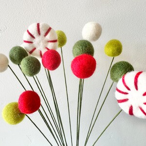 May include: A bouquet of felt ornaments in the shape of candy canes and balls. The ornaments are in shades of red, white, and green and are attached to thin green stems.