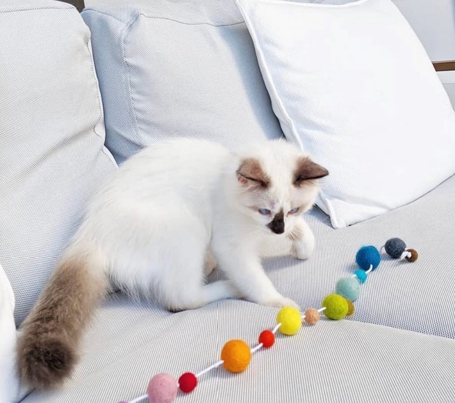 Customized Felt Cat Toy Felted Balls on a Knotted Cord Cat Etsy