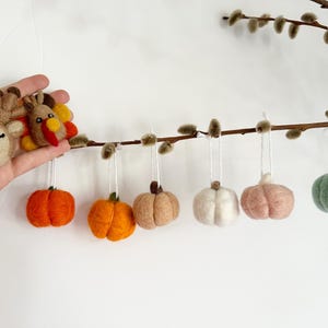 May include: A garland of felt ornaments featuring a deer, a turkey, and six pumpkins in various colors, including orange, brown, white, and green. The ornaments are strung on a branch with white twine.