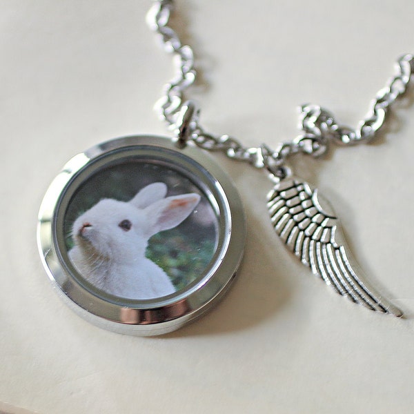 Rabbit Memorial, Pet Fur Keepsake, Bunny Memorial, Pet Hair Keepsake, Memorial Necklace, Pet Bunny Passing Gift, Animal Hair Necklace Locket