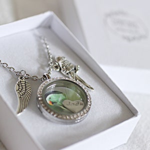 Parrot Necklace, Pet Bird Memorial Necklace, Parrot Memorial Feather Keepsake, Memorial Jewelry, Bird Urn, Green Cheek Conure Necklace Ashes