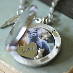 Cat urn jewelry hot sale