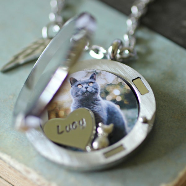 Cat Memorial Necklace, Locket Necklace with A Photo, Cat Fur Keepsake, Cat Locket Memorial Jewelry, Cat Cremation Jewelry, Memorial Jewelry
