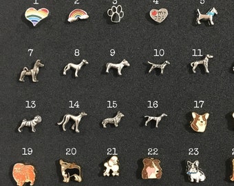 Floating Charms, Pet loss Memory Locket Charms, Rainbow Bridge Charm Necklace, Pet memorial gift, Paw Print Charms, Dog Keepsake, Dog Charms