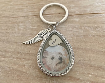 Dog Hair Memorial Keychain, Pet Hair locket, Pet Locket Keyring, Pet Fur Memorial Gift, Dog Hair keepsake, Cat Hair Keepsake, Pet Loss Gifts