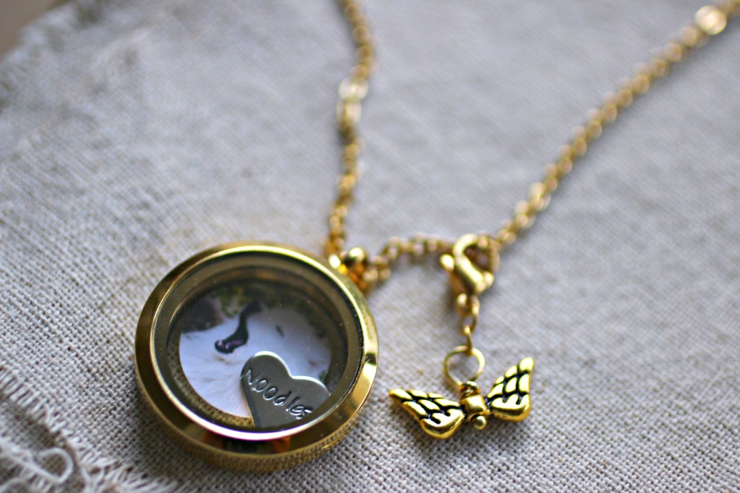 Pet Memorial Jewelry, Pet Hair Keepsake, Pet Loss Necklace, Dog Hair