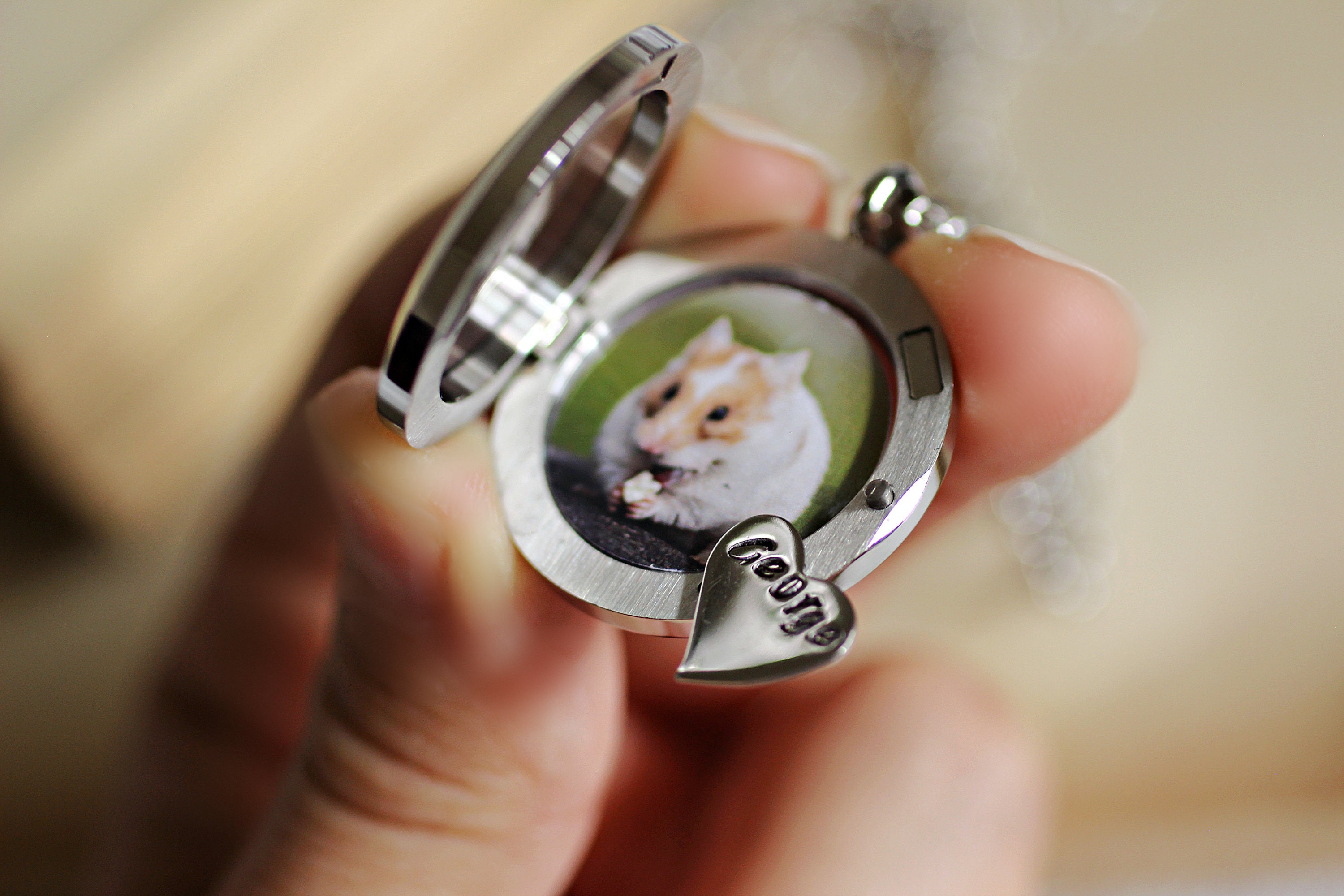 Guinea Pig Keepsake Hamster Lover Gift Pet rat memorial gift Pet Loss Necklace Cremation Jewelry Pet Hamster Necklace Keepsake Locket